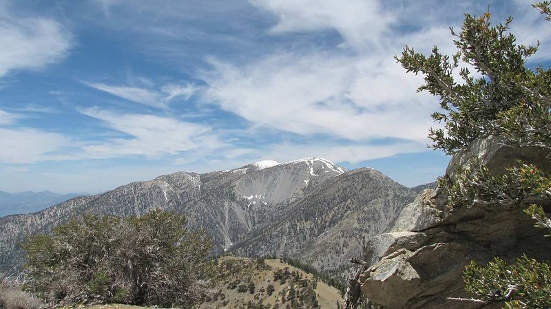 Фото DoubleTree by Hilton Claremont