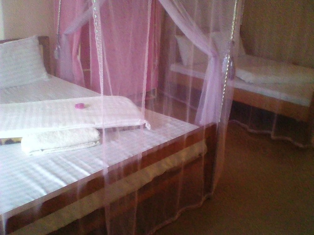 Фото City Park Hotel