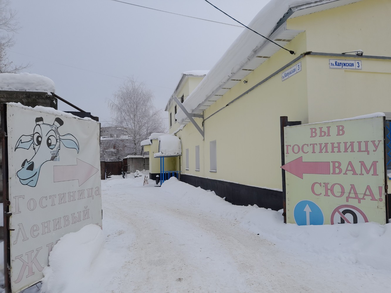 Фото Ленивый жираф