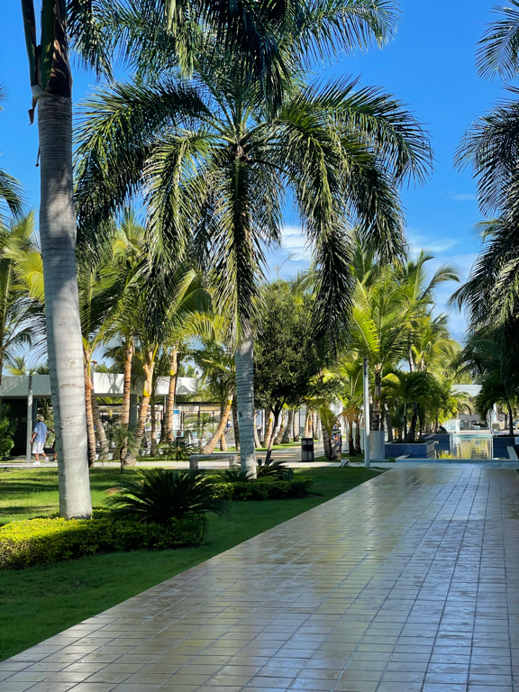 Фото Riu Republica - Adults only - All Inclusive