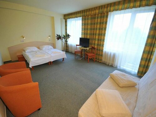Гостиница Hotel Cingov