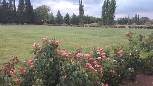 Гостиница Complejo Río los Patos - Cabañas y Hostel