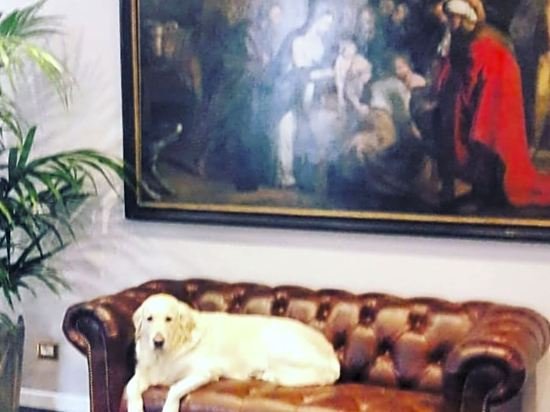 Фото Arnaboldi Palace - Circolo