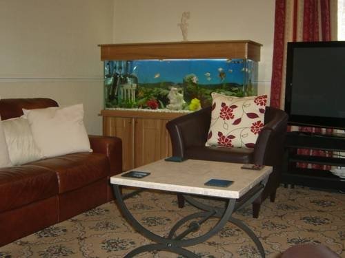 Фото The Draytonian