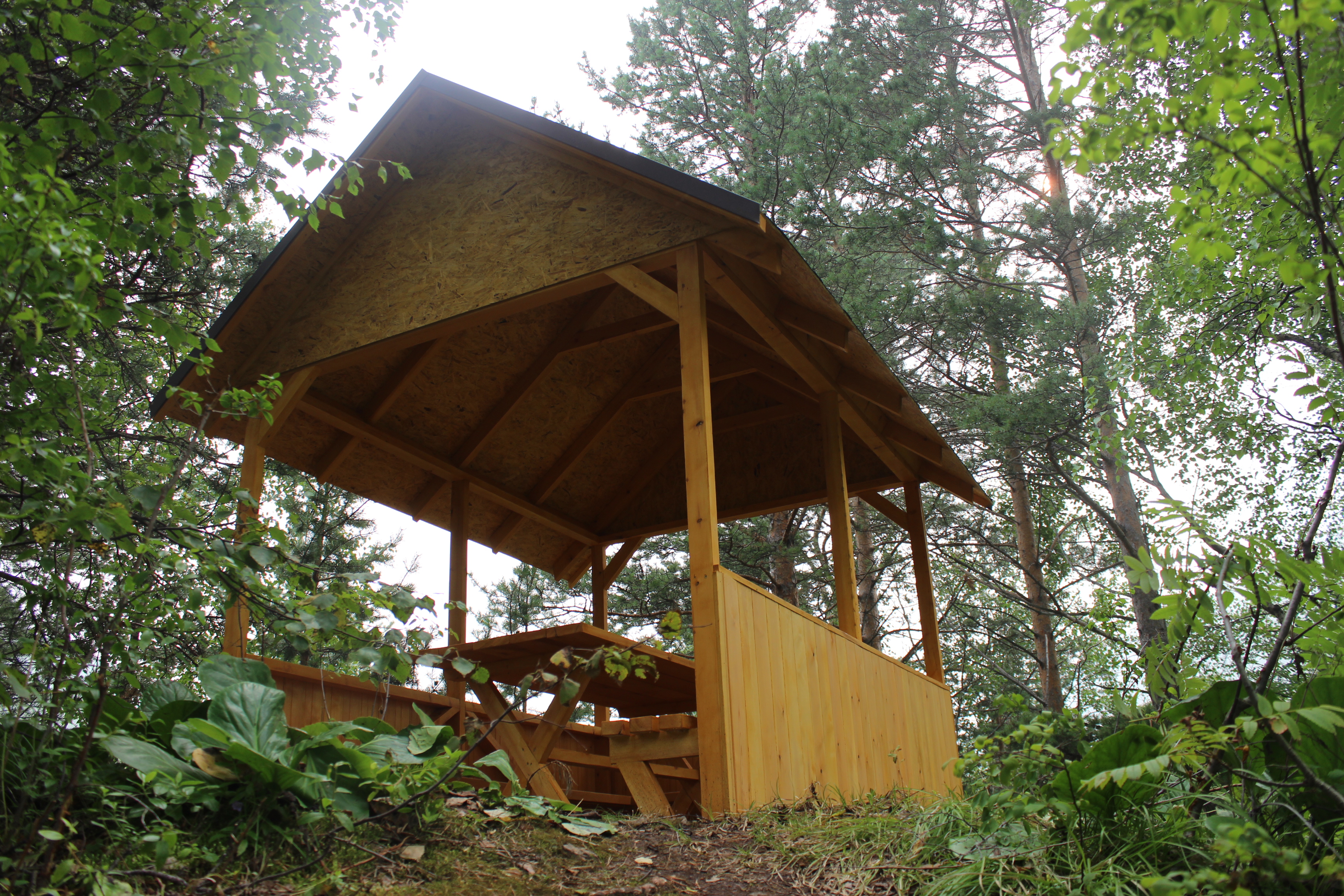 Фото Forest trail