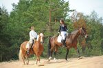 Paradize (Zarechnaya doroga, 7А), club de caballos