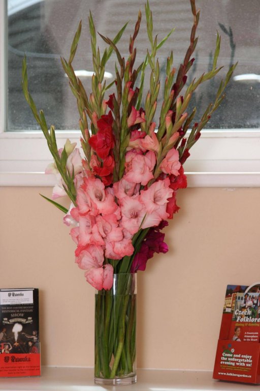 Фото Hotel Klára