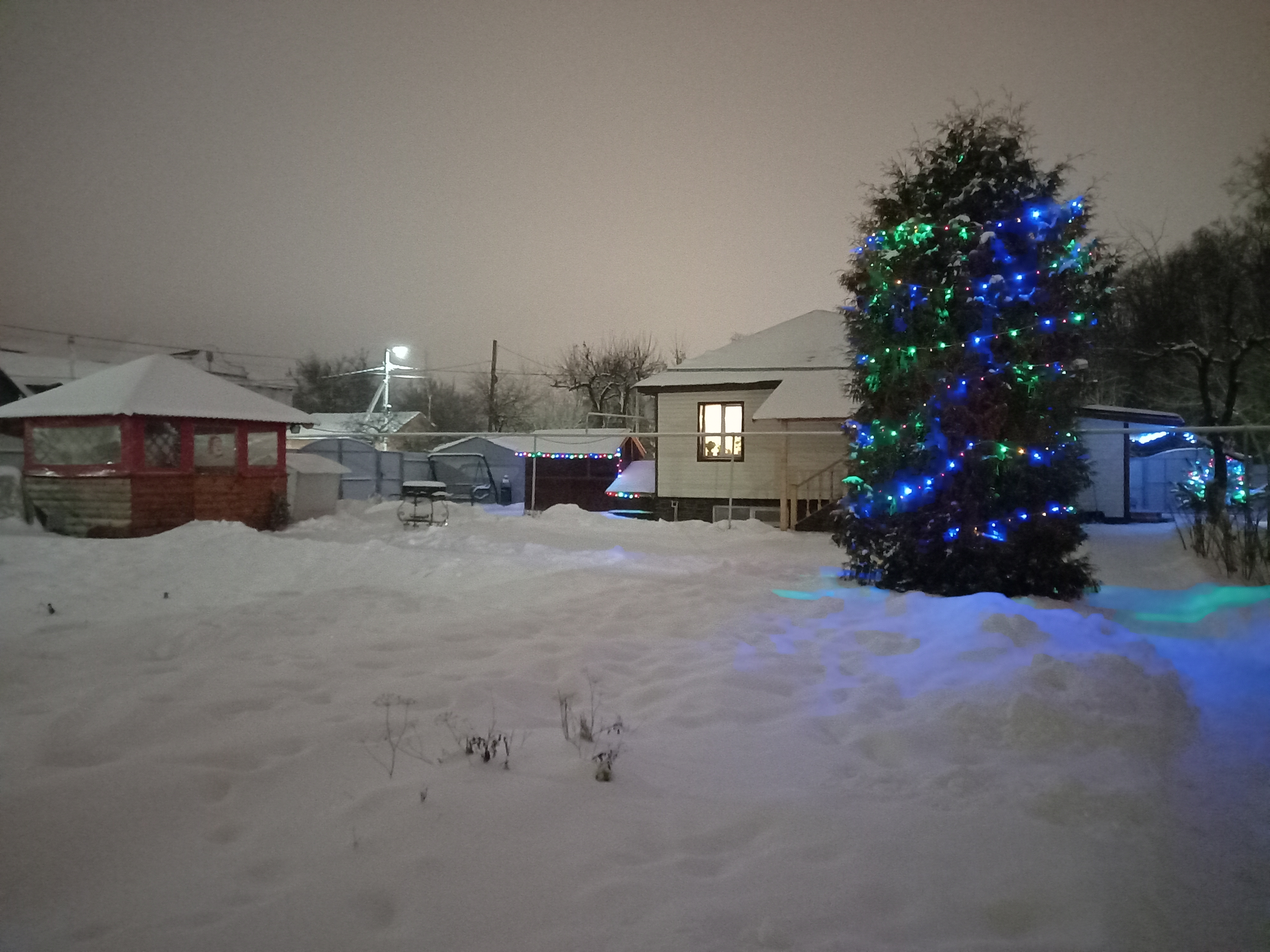 Фото В Центральном парке