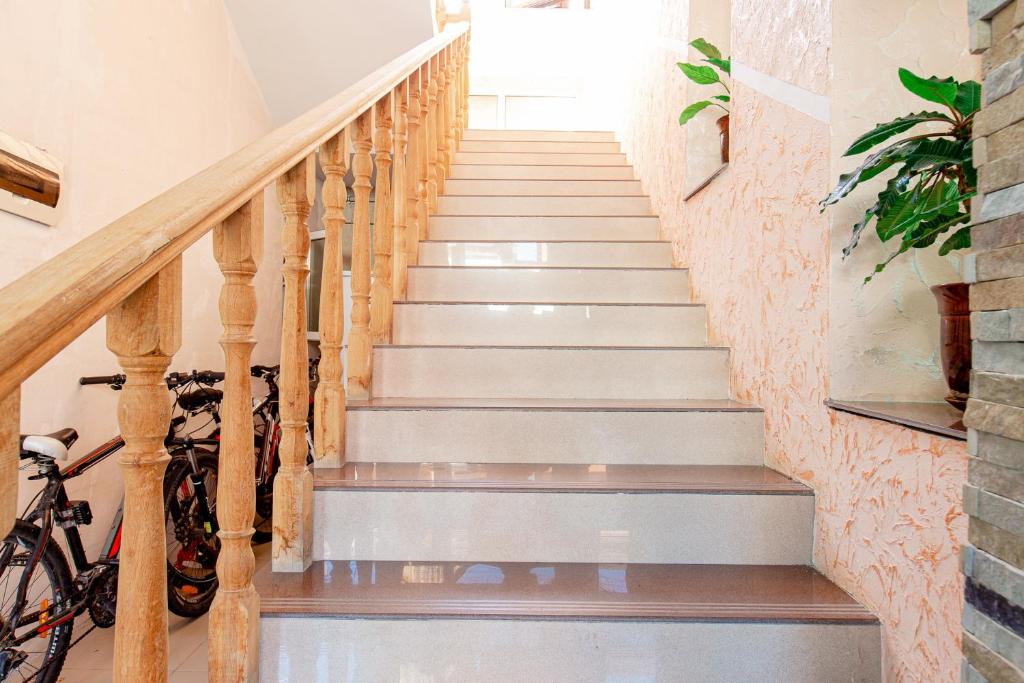 Фото Колибри Beach