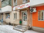 Рыжий кот (Mechnikova Street, 128), pet shop