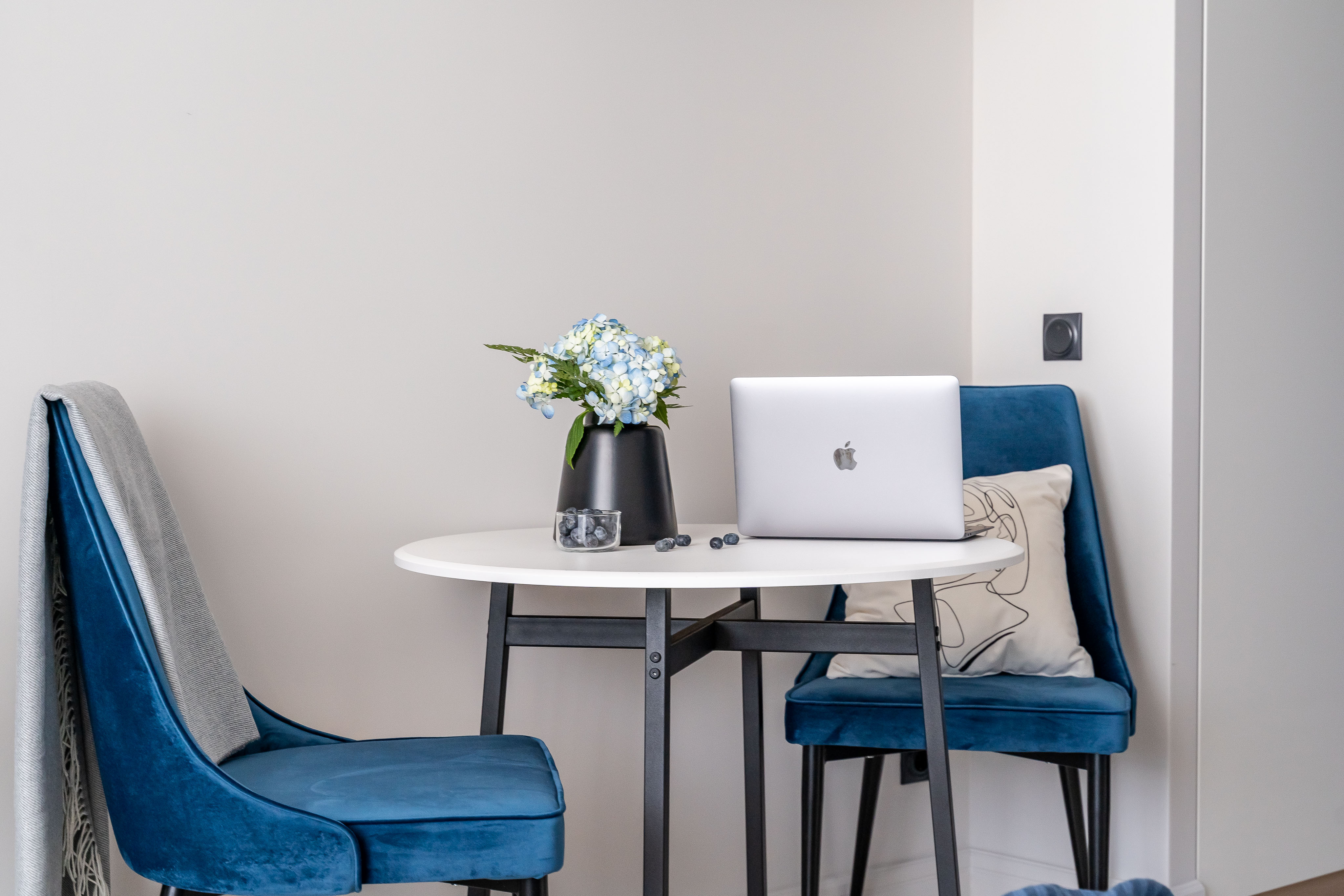 Фото Абрикосовое дерево на Старой деревне