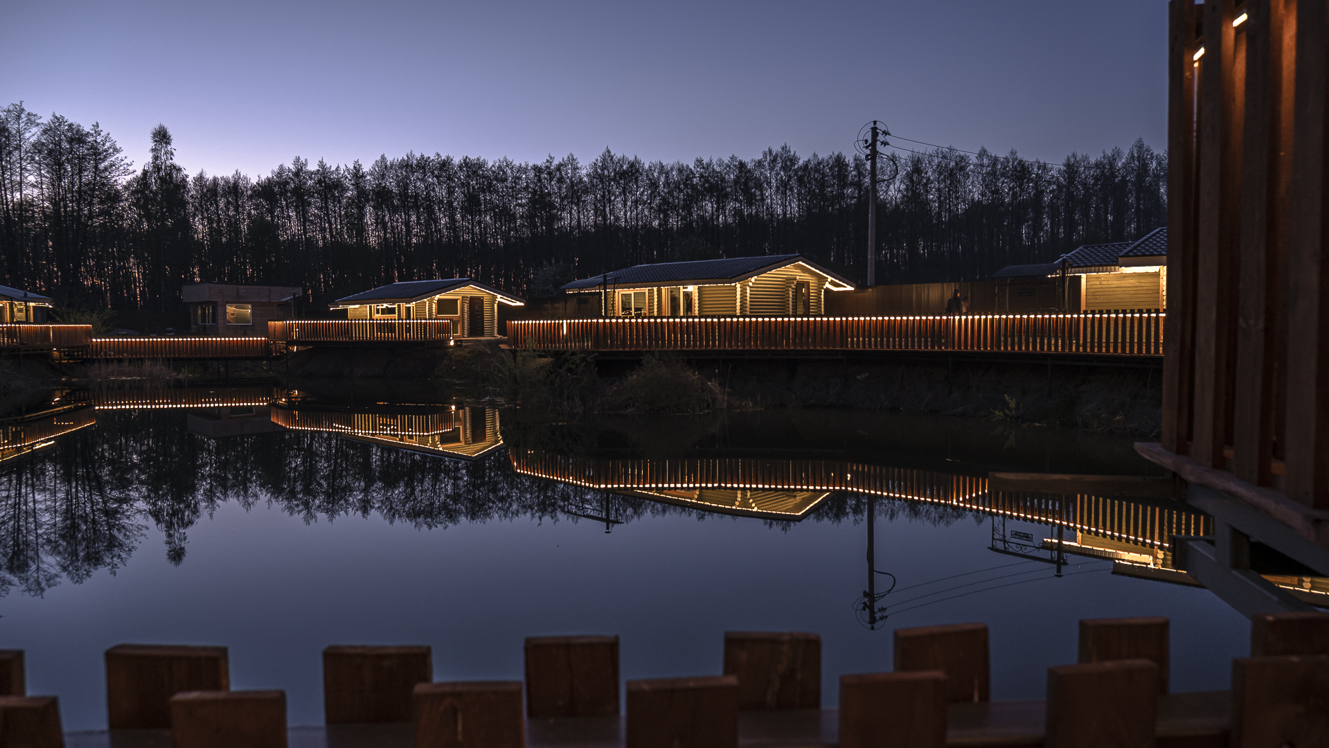 Фото Лесная история