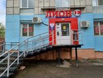 Lion (Fontannaya Street, 1А/1), alcoholic beverages