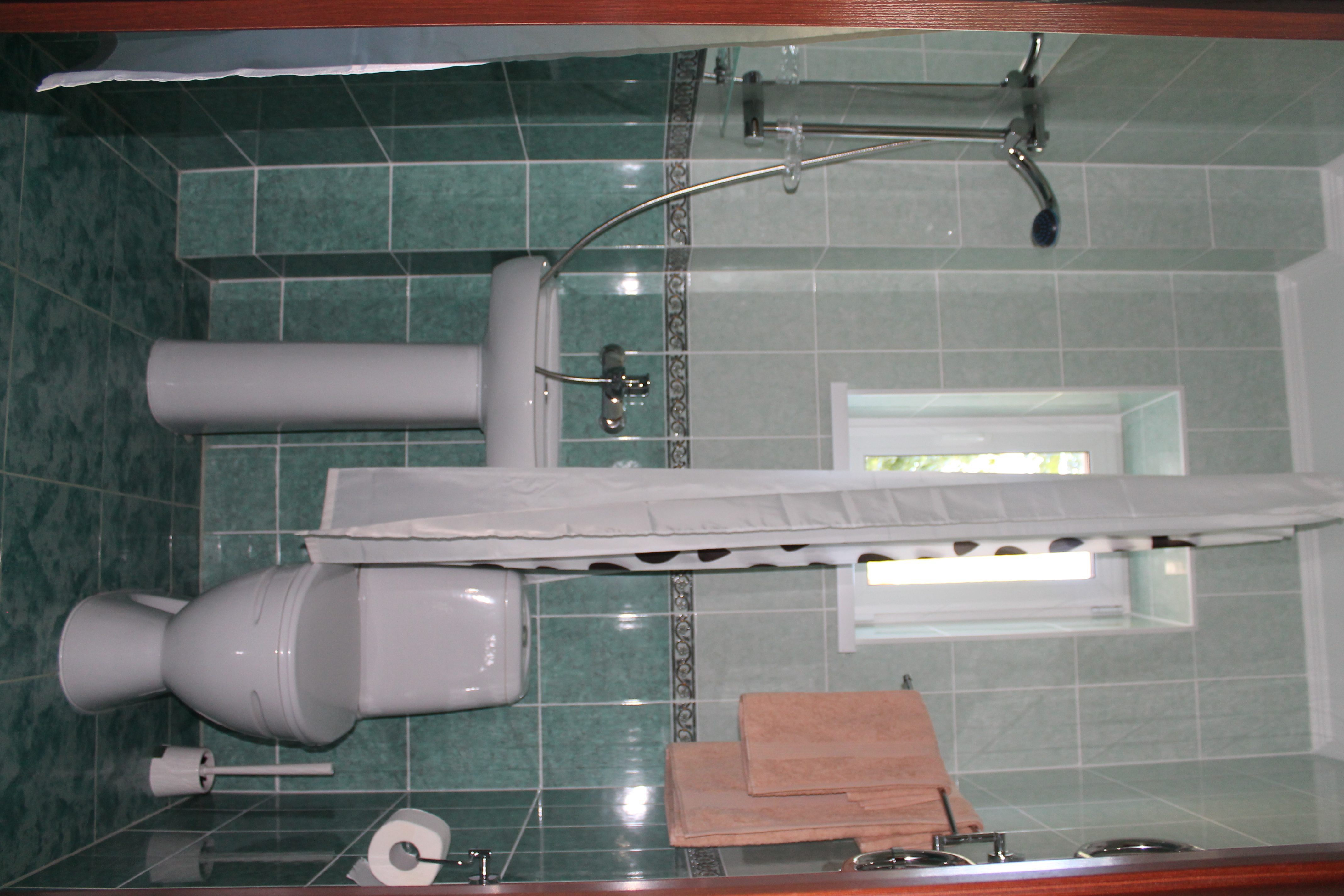 Фото Рыжий пёс