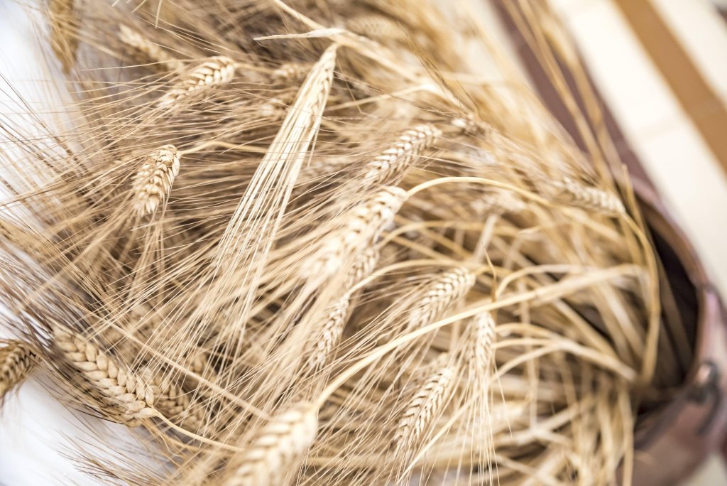 Фото Domus Neptuni