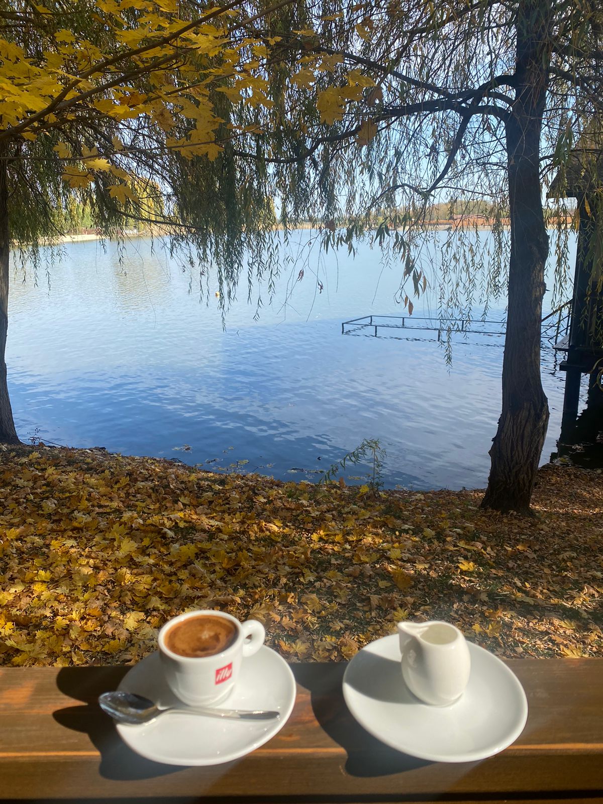 Фото Усадьба Фамилия