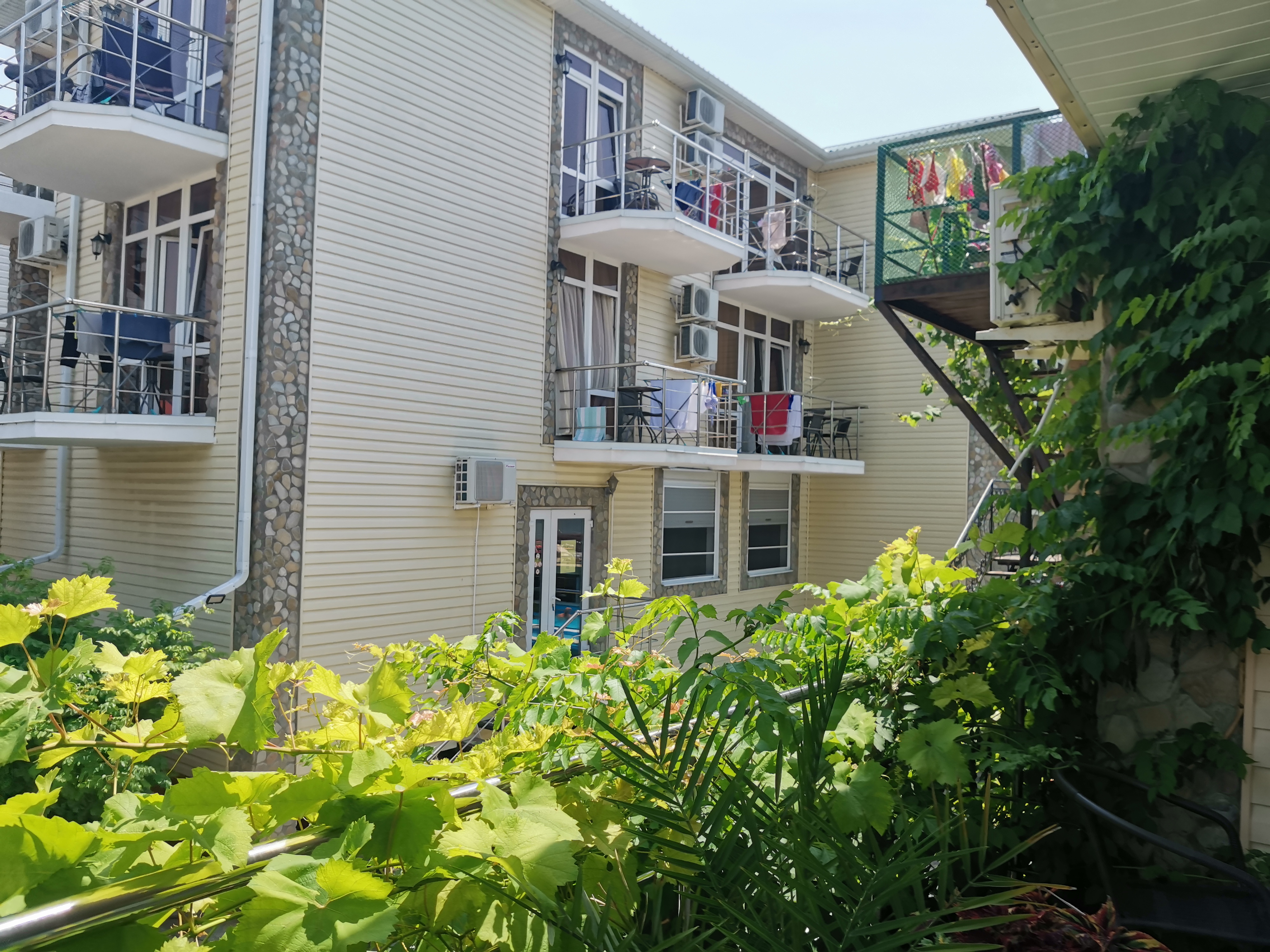 Фото Березы