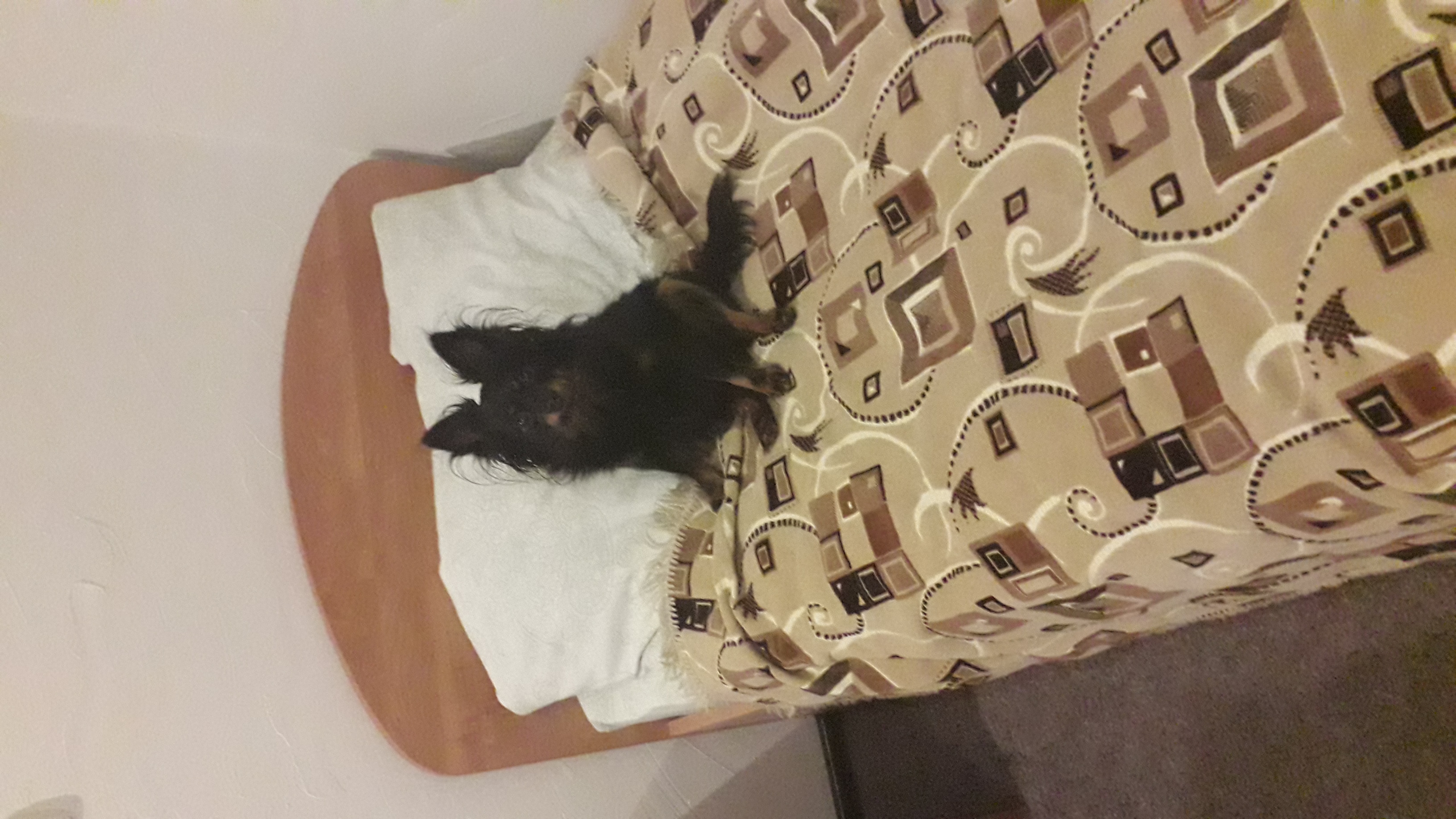 Фото Гостиница Янишполе