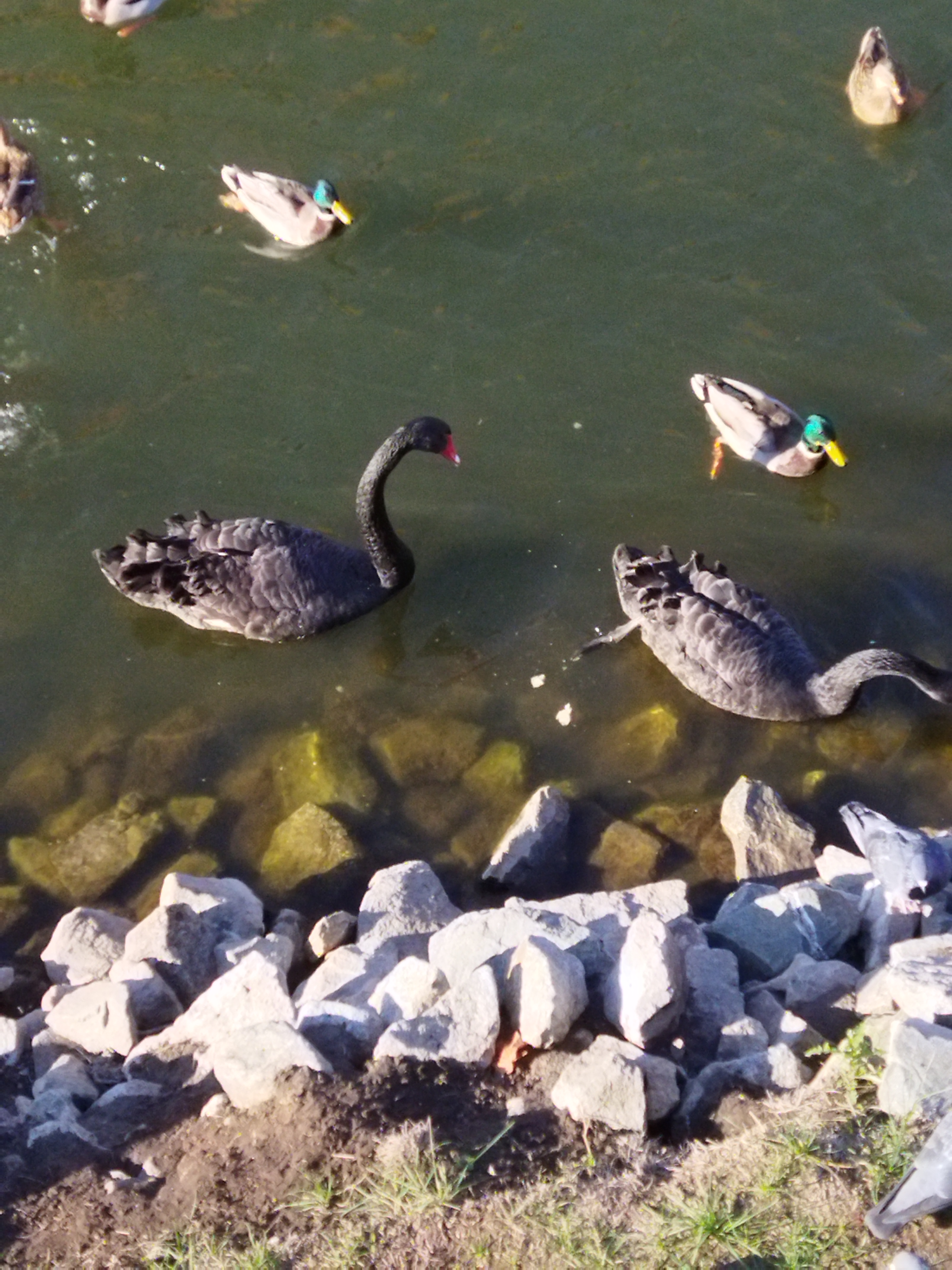 Фото Голубое озеро