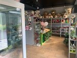 Rose-Novoross (Anapskoye Highway, 29), flower shop