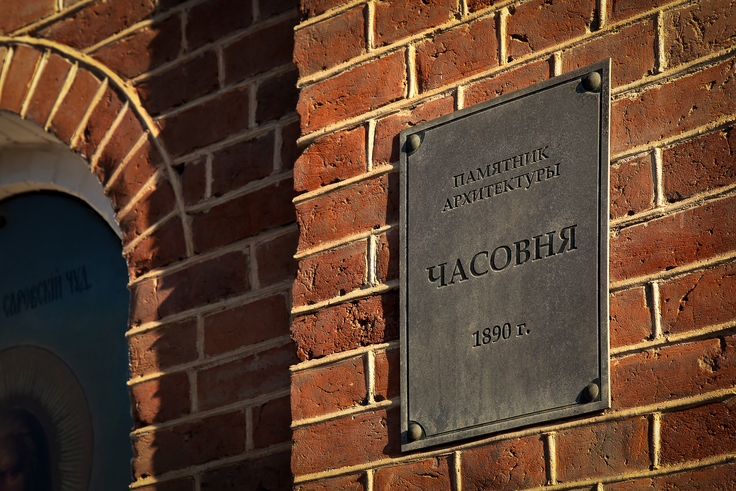 Фото Клевер