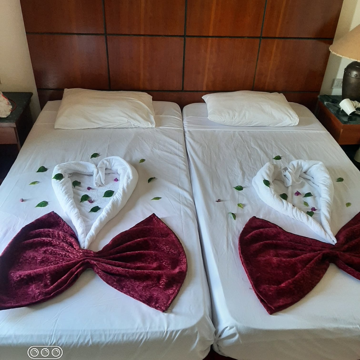 Фото Amphoras Aqua