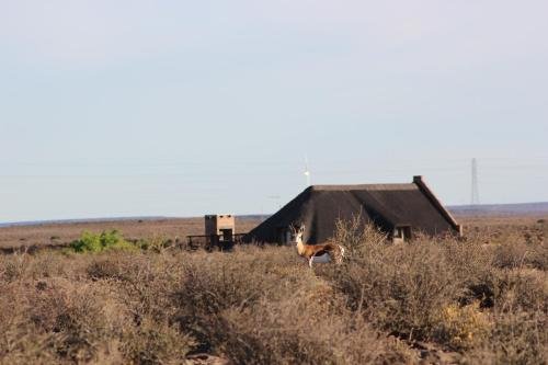 Фото Teri Lemveli Lodge