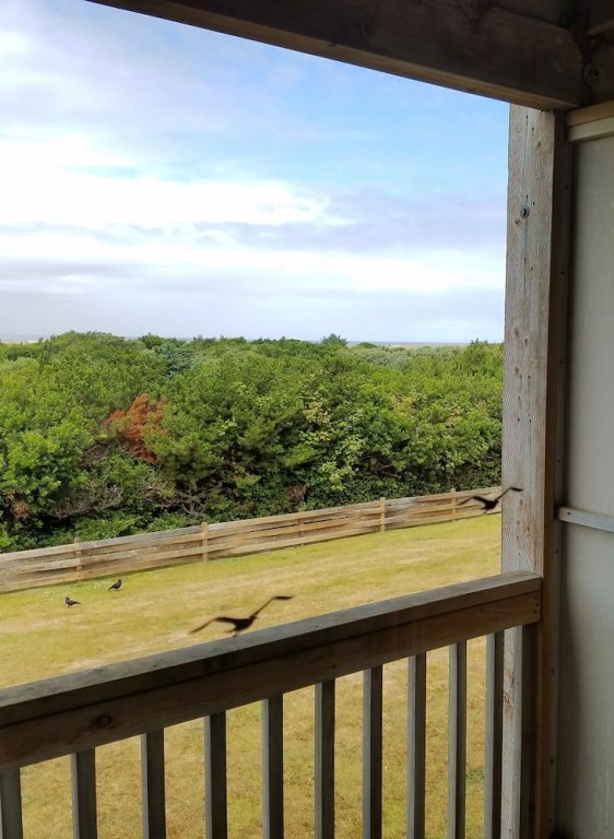 Фото The Canterbury Inn