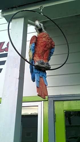 Фото 747 Motel Wellington