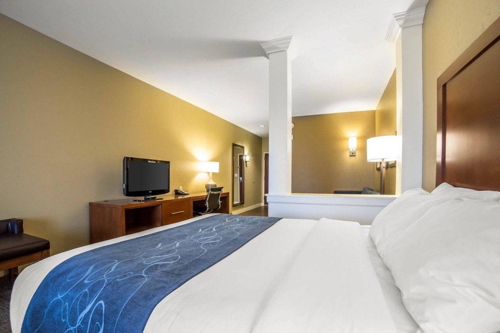 Фото Comfort Suites Airport - University