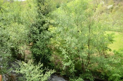 Фото El Rincón de Limés