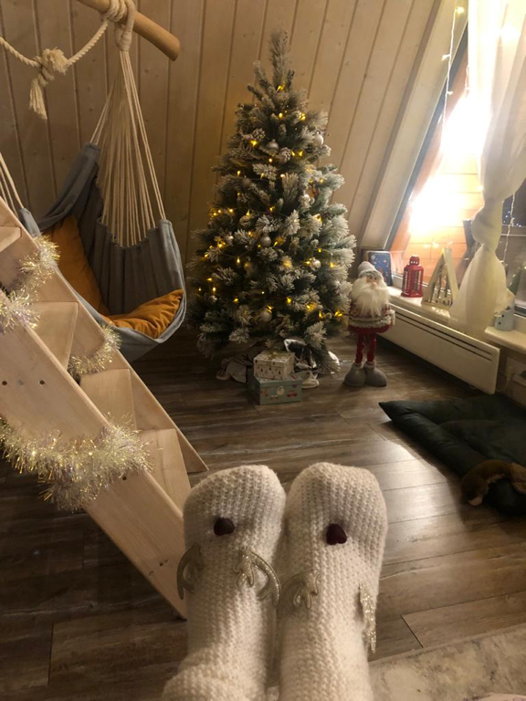 Фото Лиса в шалаше