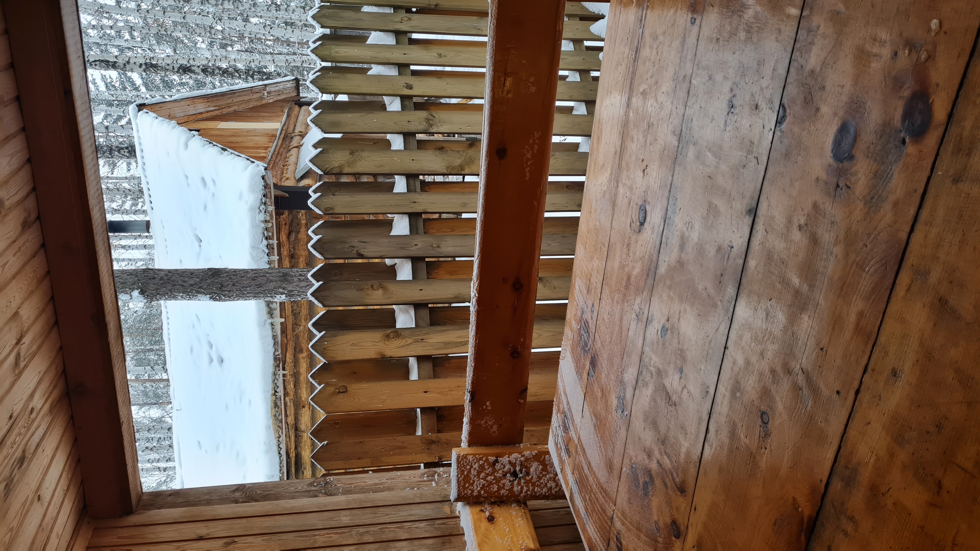 Фото Биатлон