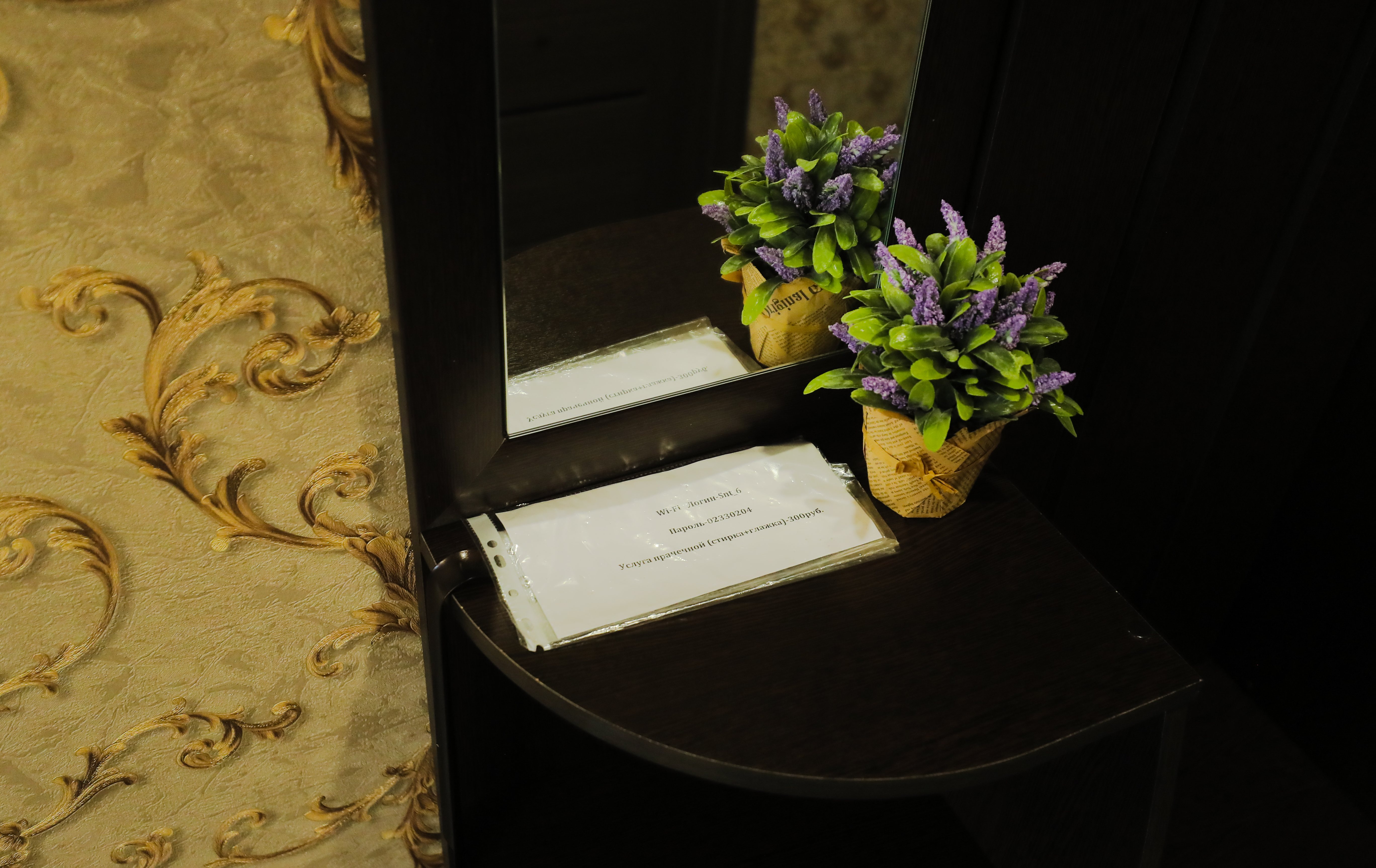 Фото Сосновая сказка