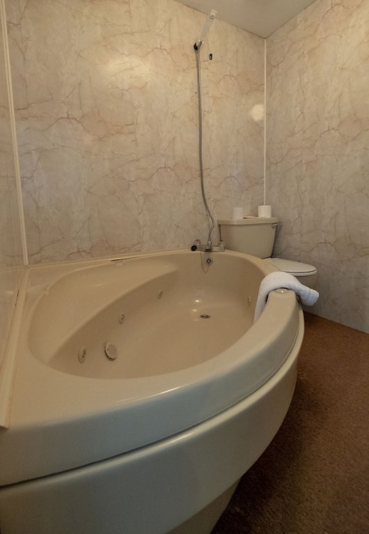 Фото Royal Lion Hotel