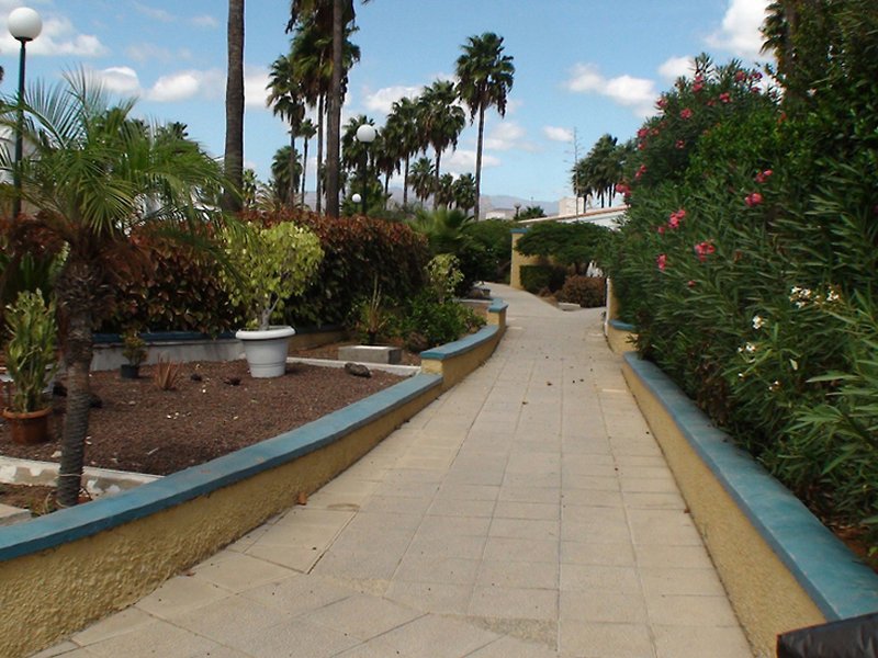 Фото Bungalows Sonora Golf