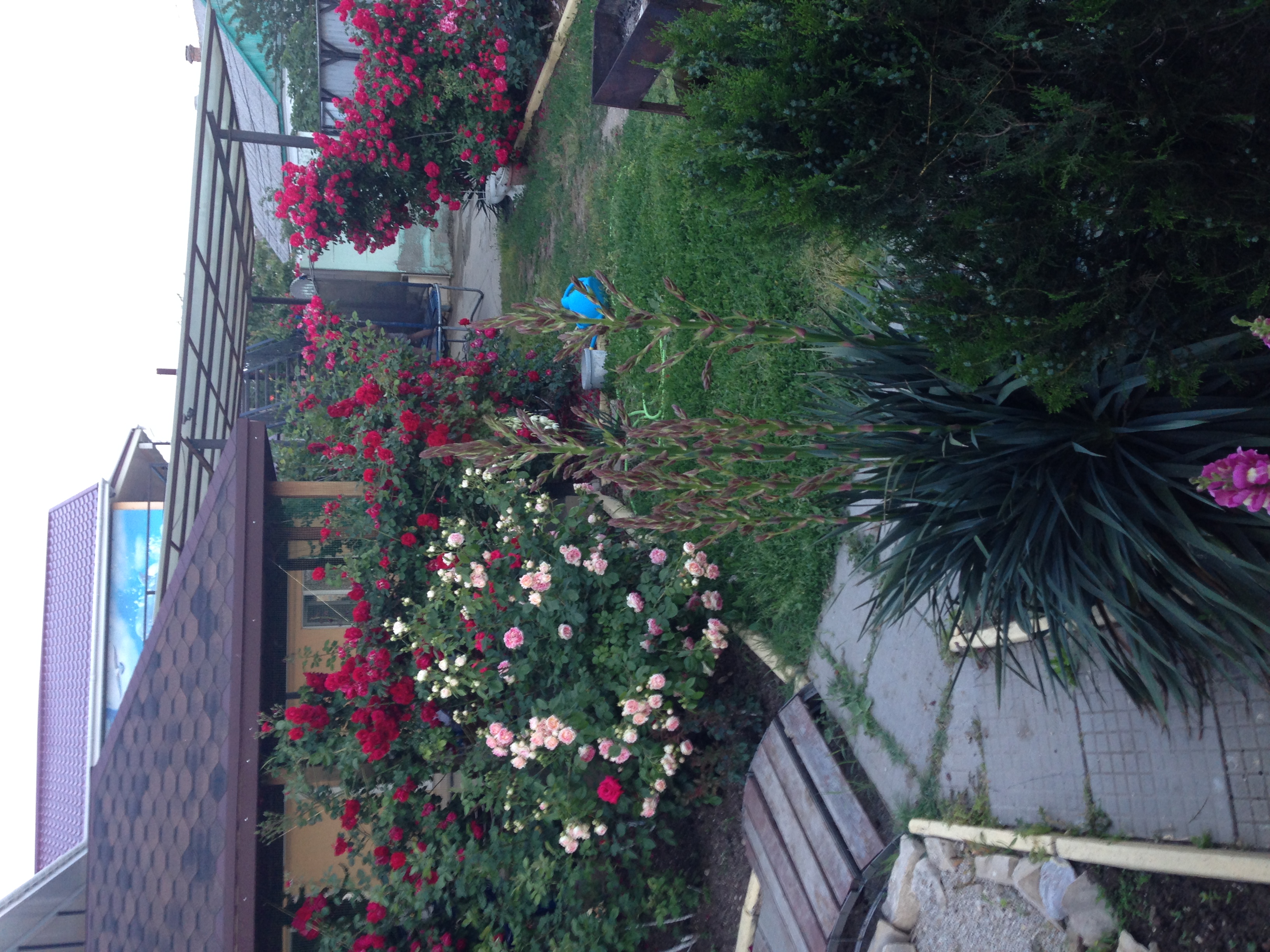 Фото Райский уголок