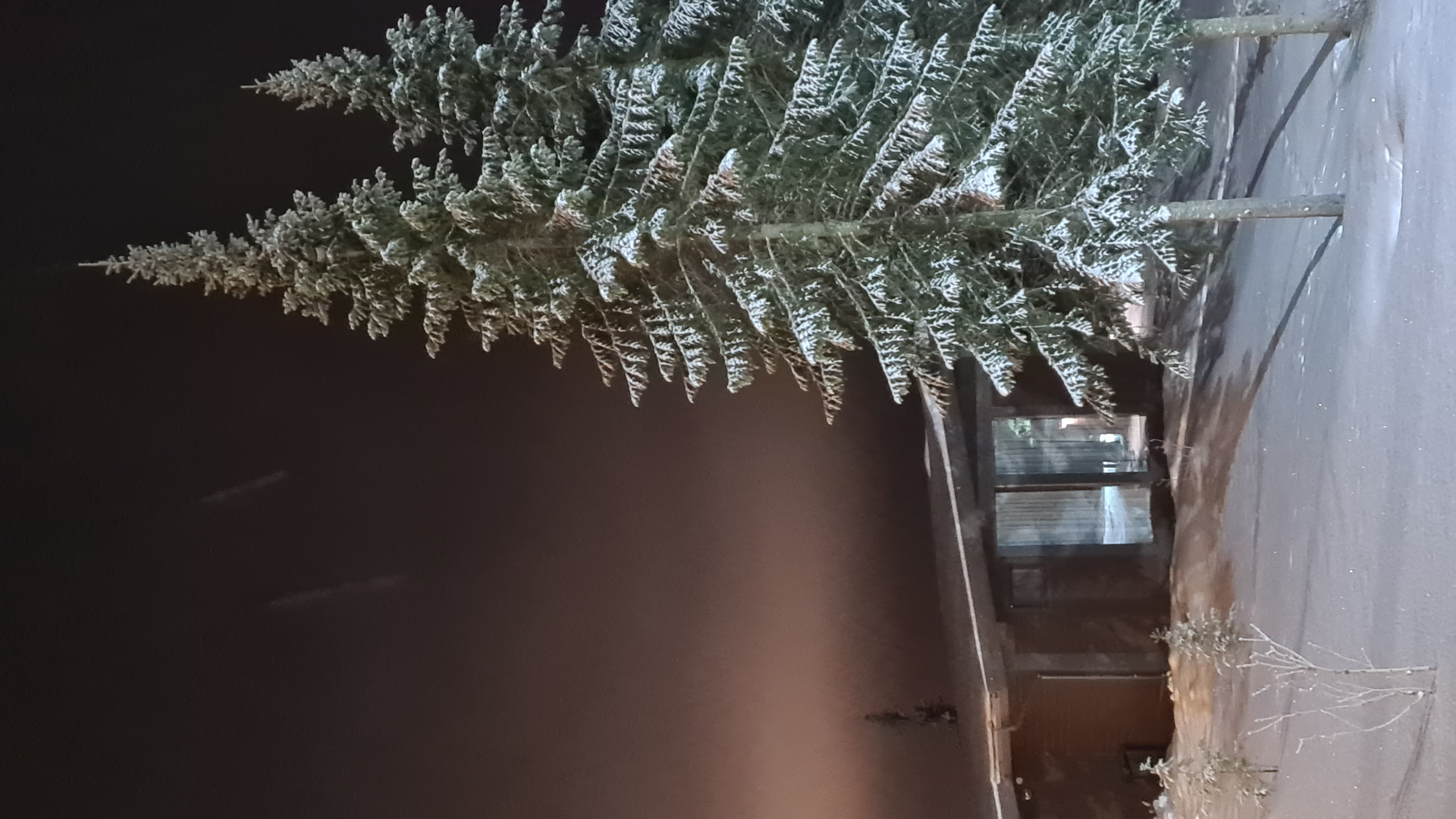 Фото Кружево