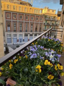 Гостиница L