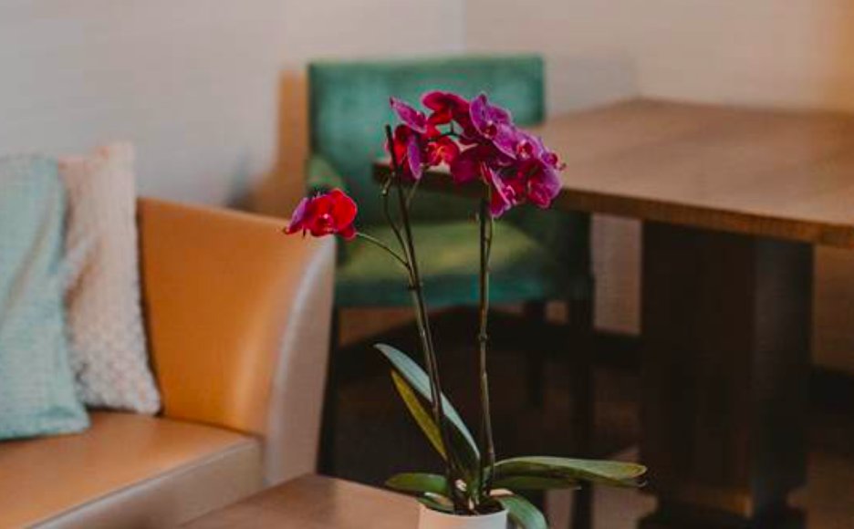 Фото Hotel Metropole Geneve