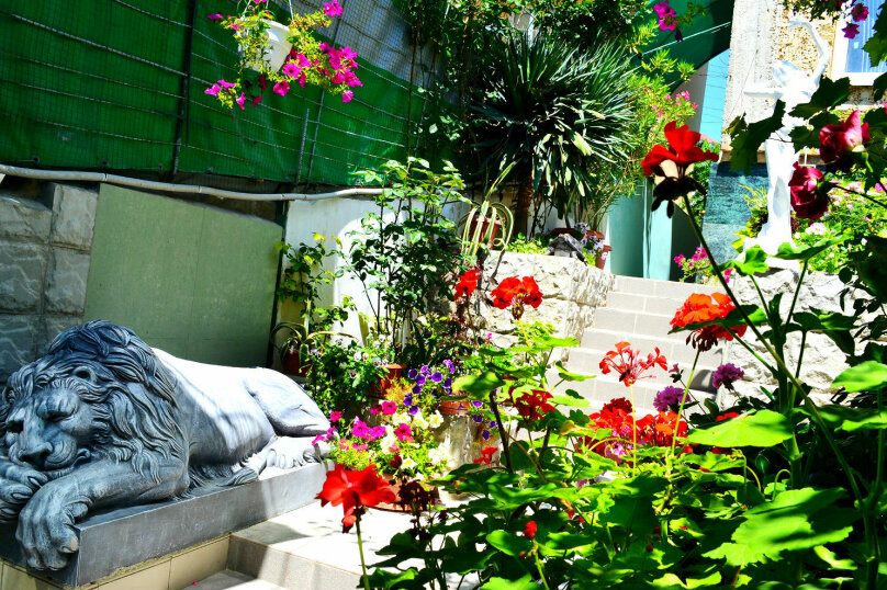 Фото Грин Палац