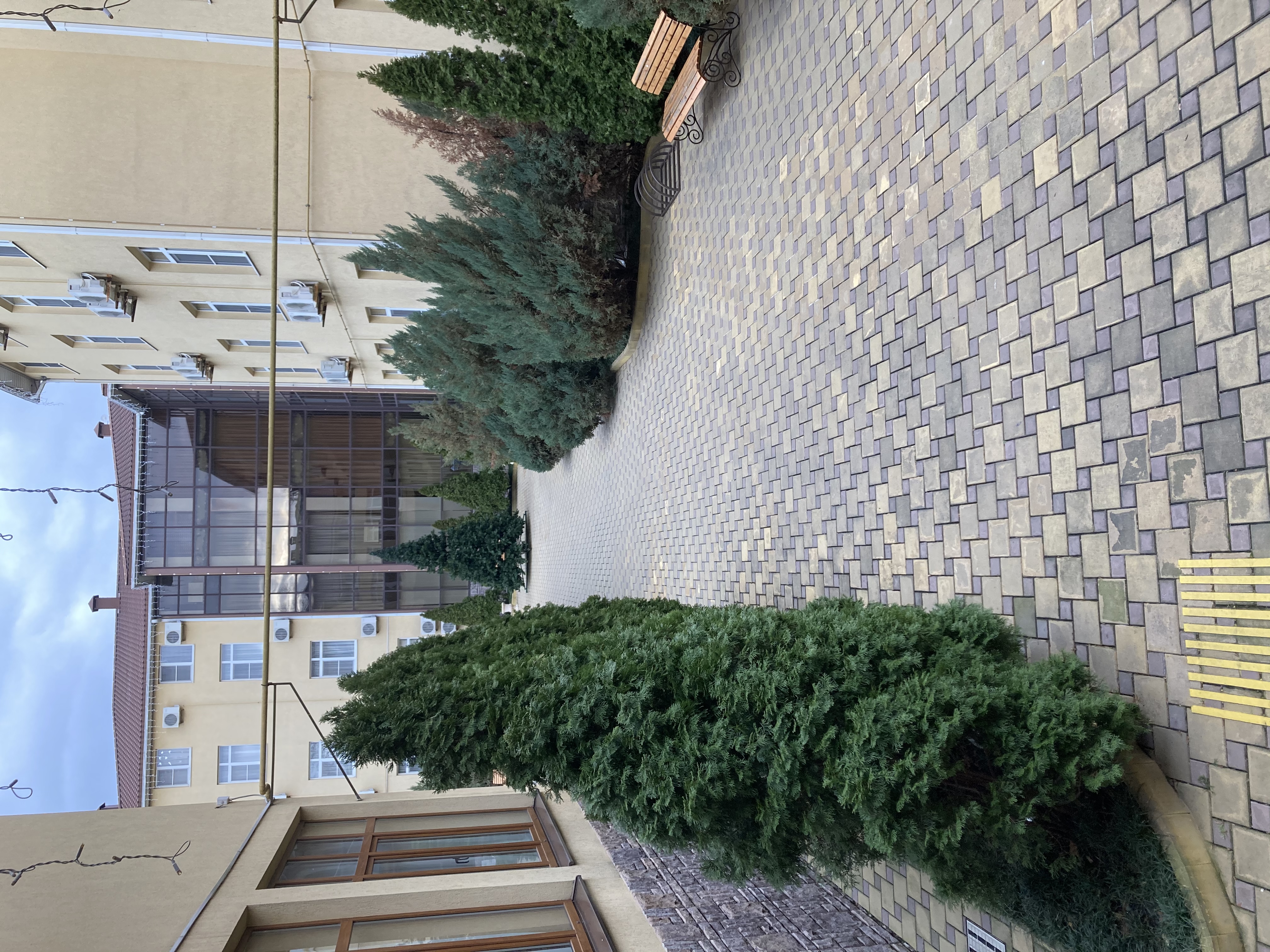 Фото Грин Хоста