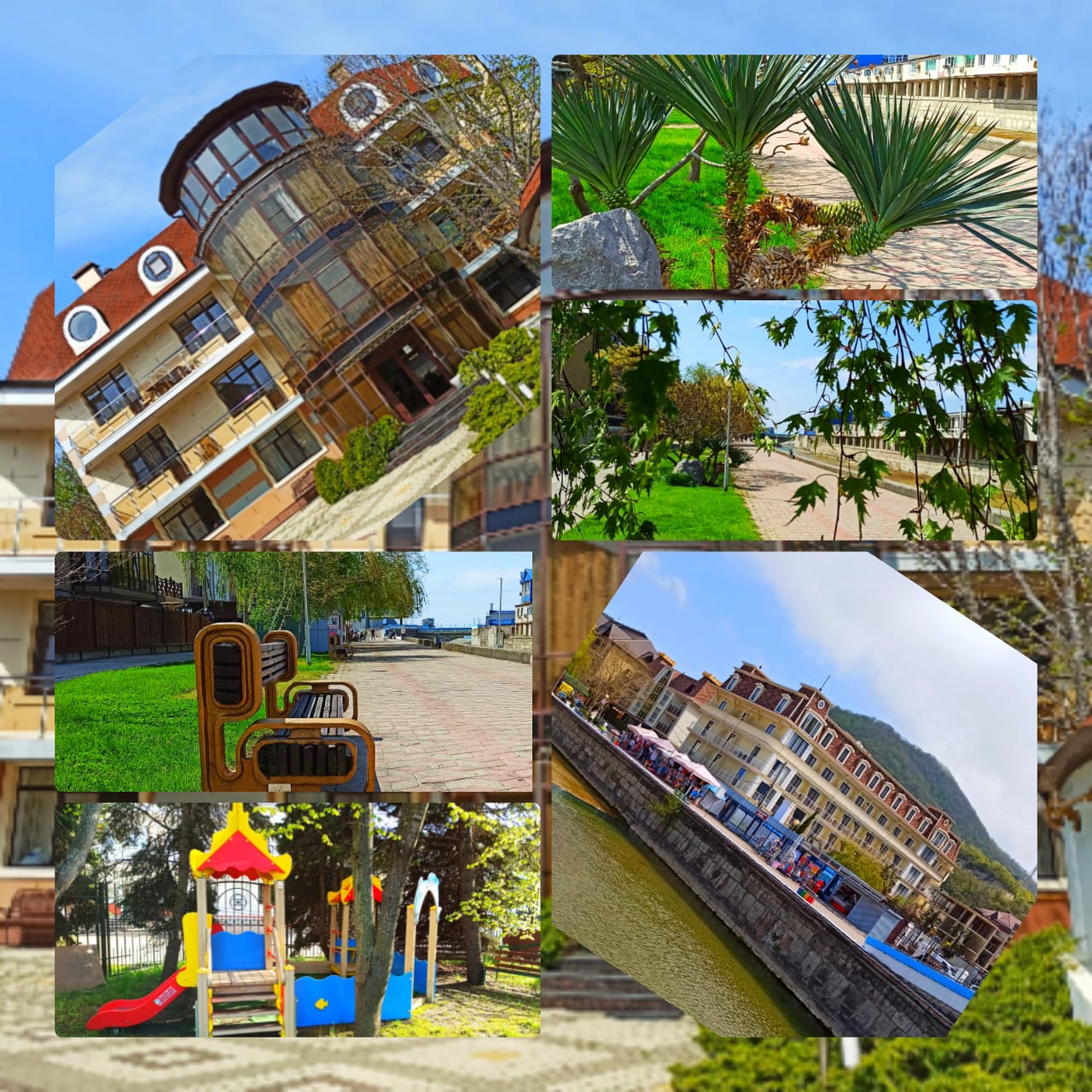 Фото Афалина