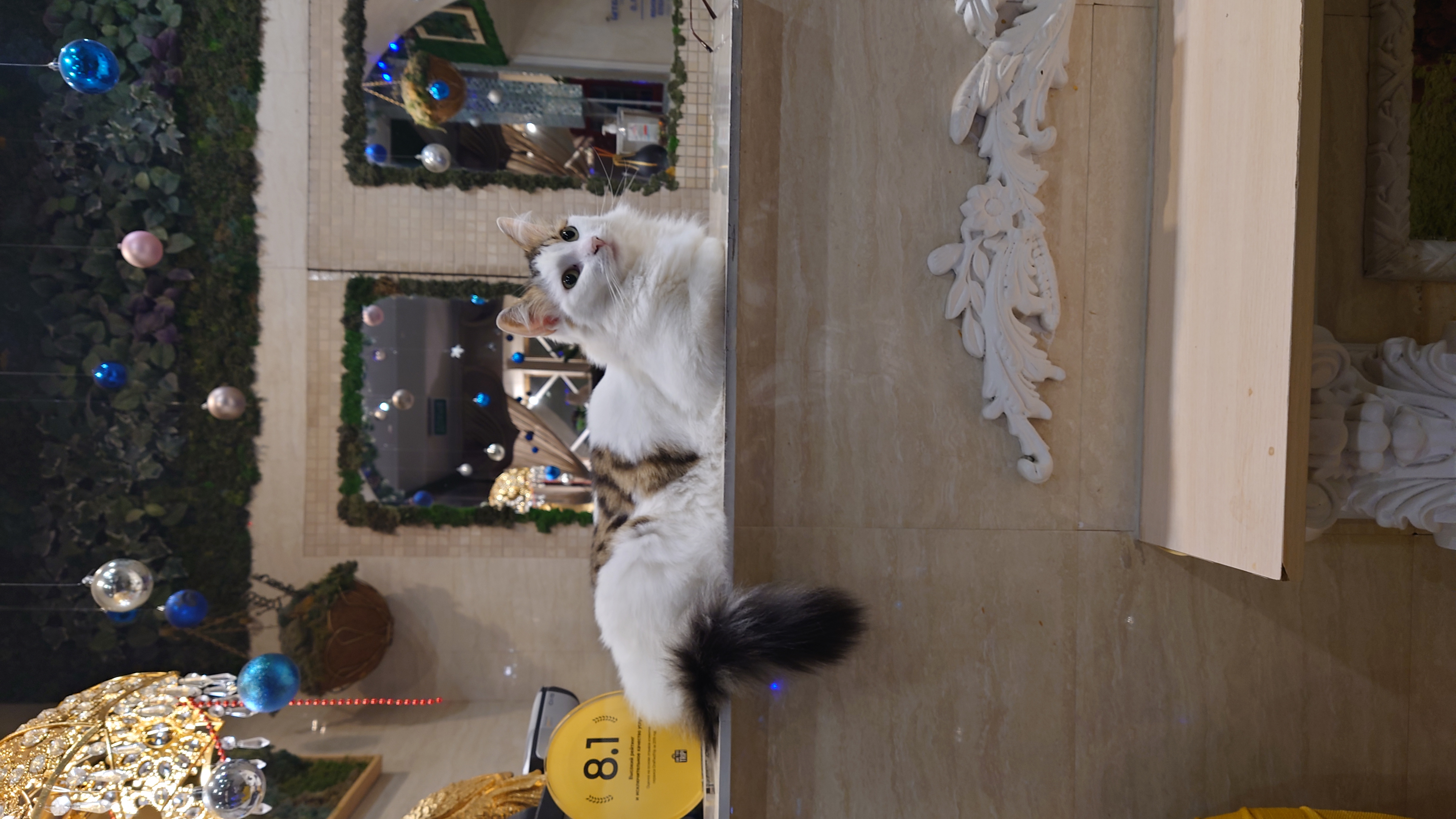 Фото Ситикомфорт на Китай-Городе