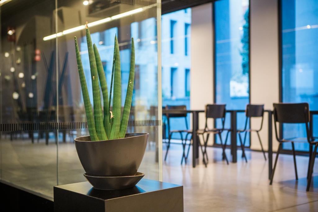 Фото Kathedraallogies Drie Koningen