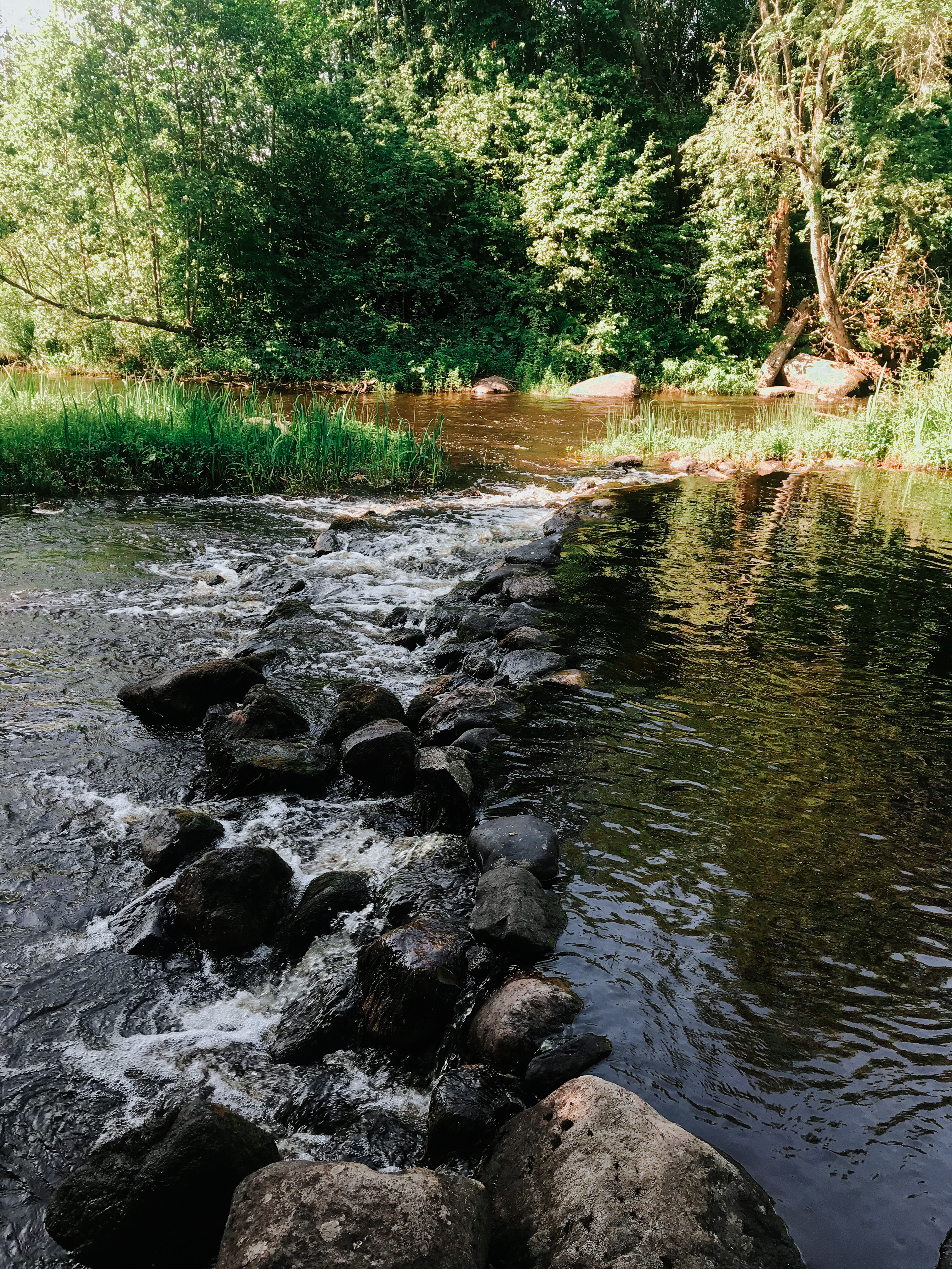 Фото Вилайоки АГРО