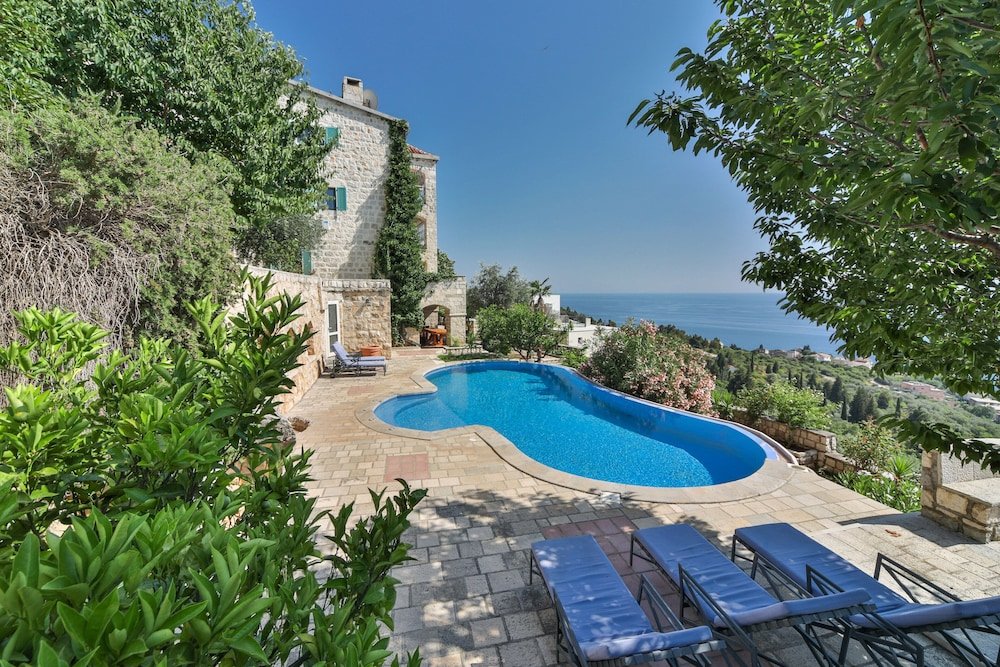 Фото Olive Resort