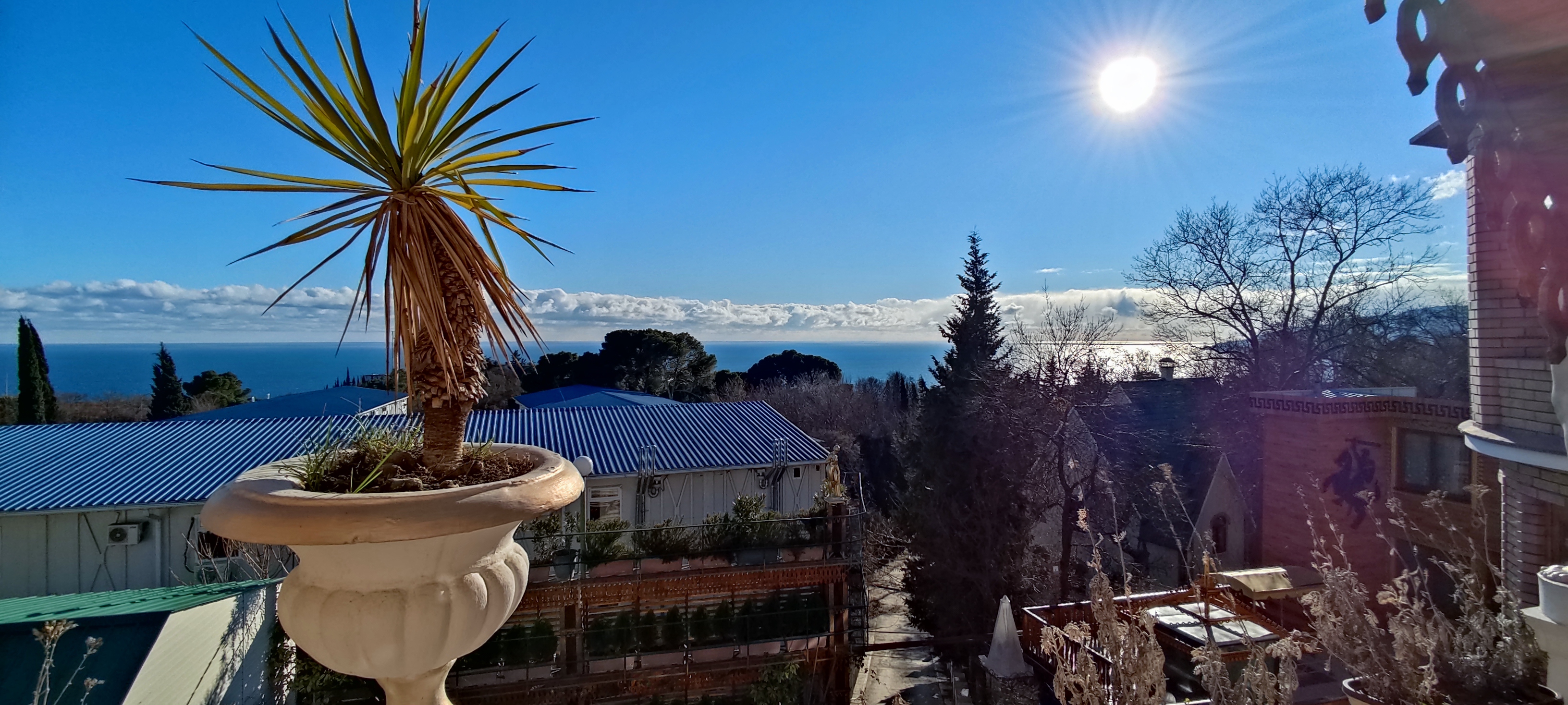 Фото Медный всадник