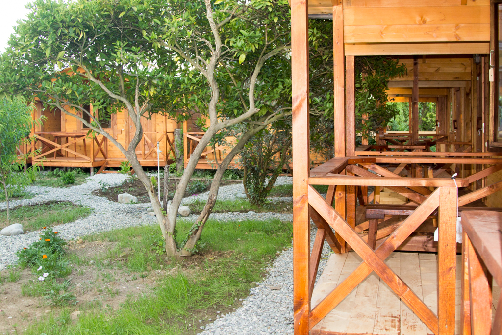 Фото Теремки