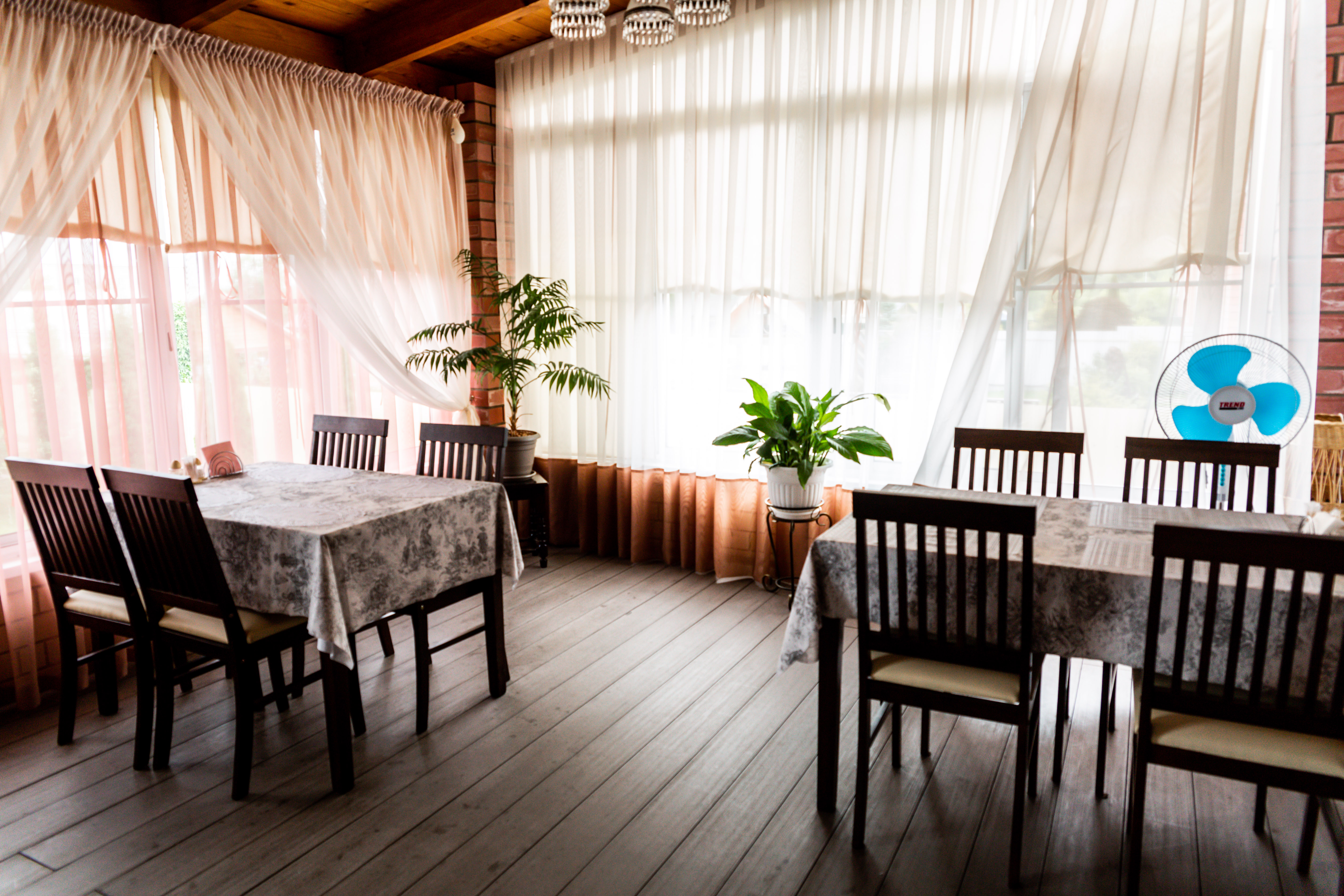 Фото Династия